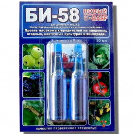 БИ-58 Новый