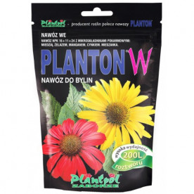 Planton W