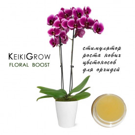 Паста Кейки Floral Boost, стимулятор роста для орхидей 